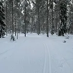Järvenrantamökki Nurmijärvellä Hyvinkää