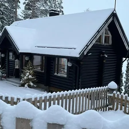 Villa Jaervenrantamoekki Nurmijaervellae Hyvinkää