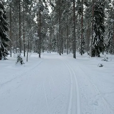 Jaervenrantamoekki Nurmijaervellae Villa *