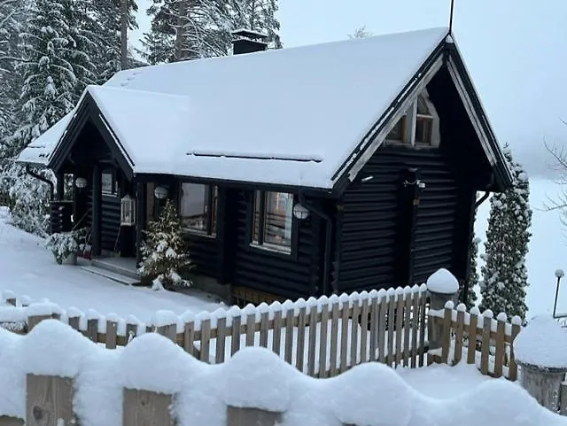 Villa Jaervenrantamoekki Nurmijaervellae Hyvinkää