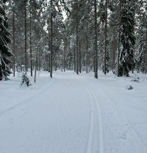 Jaervenrantamoekki Nurmijaervellae Villa *