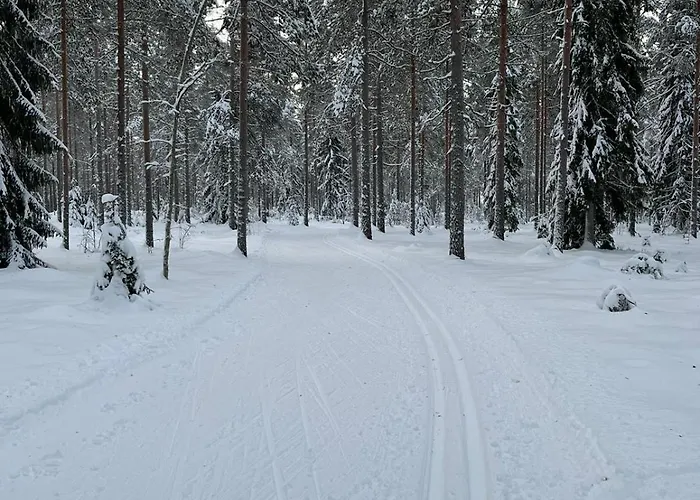 Jaervenrantamoekki Nurmijaervellae Hyvinkää